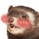 ferretblushq Slack emoji
