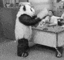 angrypandaq Slack emoji