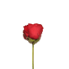 roseheart q Slack emoji