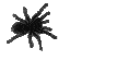 spidercrawlq Slack emoji