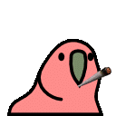 blunt parrot Slack emoji