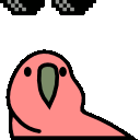 deal with it now parrot Slack emoji