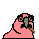 groucho parrot Slack emoji