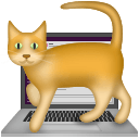 catonthelaptopq Slack emoji
