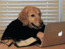 dogtypingq Slack emoji