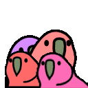 quad parrot Slack emoji
