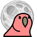 moonparrotq Slack emoji