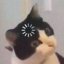 loading cat Slack emoji