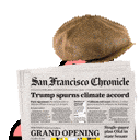 spy parrot Slack emoji
