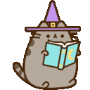 pusheenbookq Slack emoji