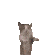 happycatmeme Slack emoji