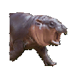 moo deng screaming Slack emoji