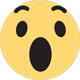 whyyyyyy Slack emoji