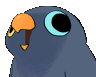birdnuts h Slack emoji
