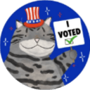 mi voted cat Slack emoji