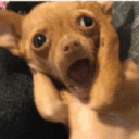 excited doggo Slack emoji