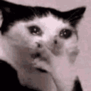 cry cat shake Slack emoji