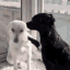 hug puppies Slack emoji