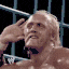 hulk hogan hulkamania brother Slack emoji