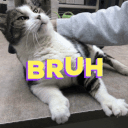 bruh cat Slack emoji