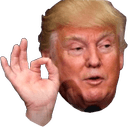 oktrump Slack emoji