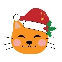 cat xmas Slack emoji