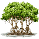 mangrove Slack emoji