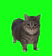 spinning cat brainrot Slack emoji