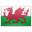 flag wls Slack emoji