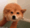 preparing to dive Slack emoji