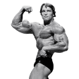 arnold Slack emoji