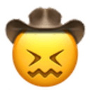 confounded cowboy Slack emoji