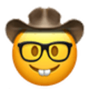 nerdy cowboy Slack emoji