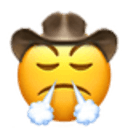 triumphant cowboy Slack emoji