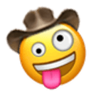 zany cowboy Slack emoji