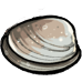 clam Slack emoji