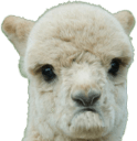 grumpert Slack emoji