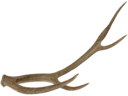 elk antler Slack emoji