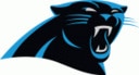 panthers Slack emoji