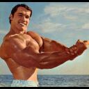 schwarzenegger Slack emoji