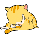 cat licking balls Slack emoji