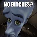 nobitches megamind Slack emoji