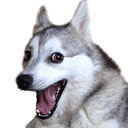 pundog Slack emoji