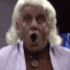 ricflair2 Slack emoji