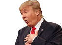 donaldtrump Slack emoji