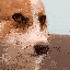 corgihappy Slack emoji