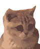 nodding kitty Slack emoji