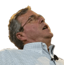 jeb Slack emoji