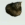 uiia Slack emoji