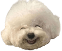pun floof Slack emoji